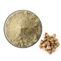 High Quality Chinese Herbal Medicine San Qi Dried Pseudo-Ginseng Powder